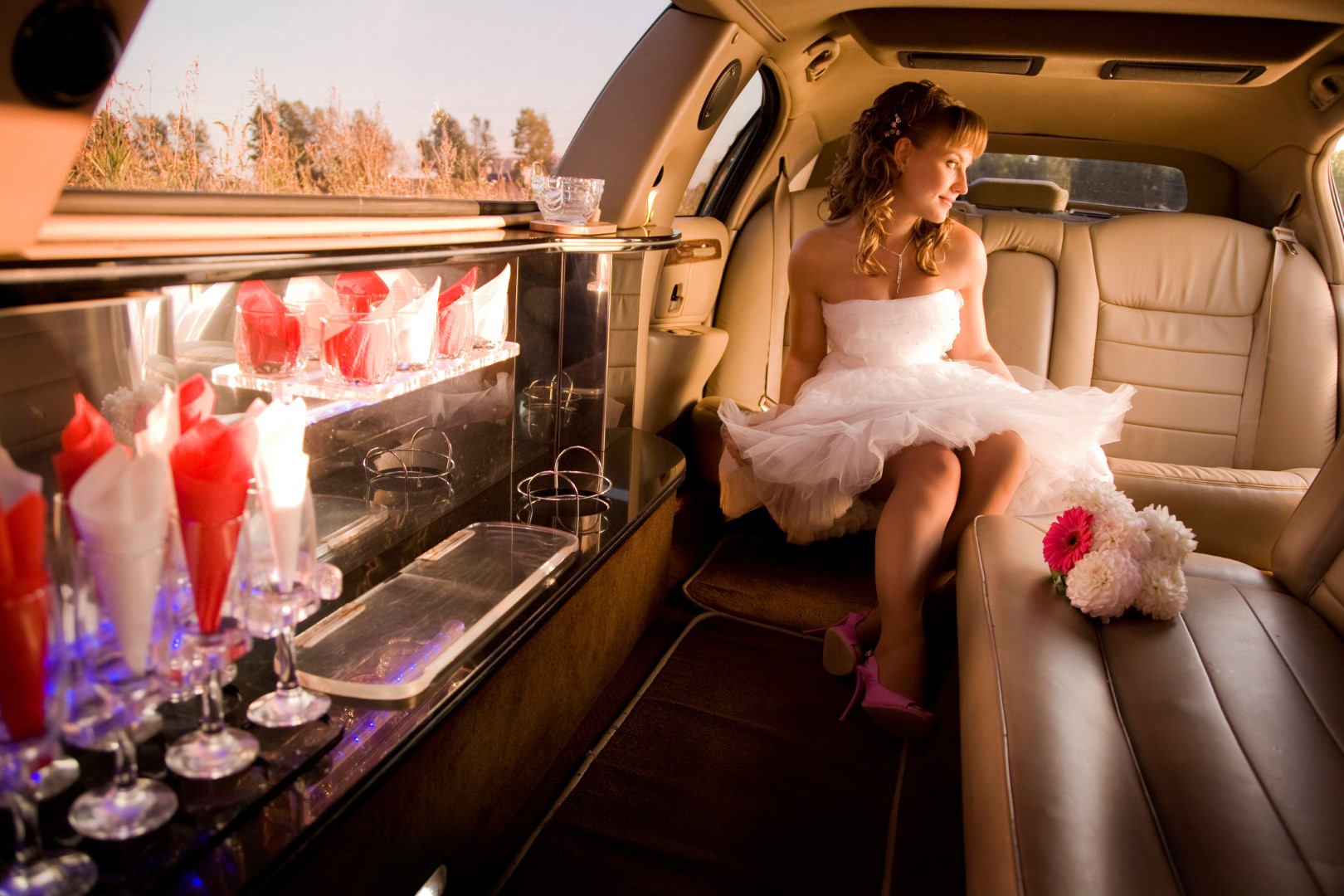 Planet Limousine & Black Car Service In Chicago For Prom and Homecoming